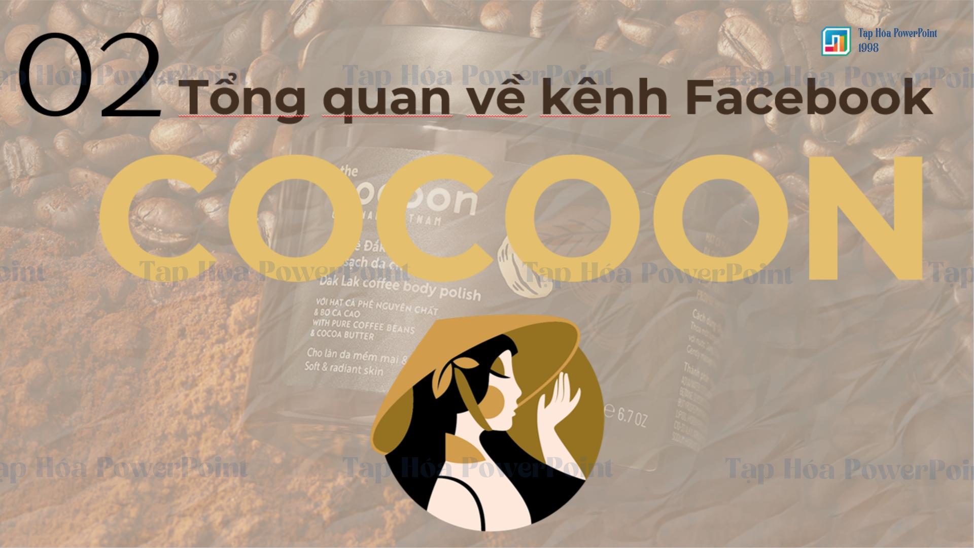 Slide Thương hiệu mỹ phẩm COCOON - 5