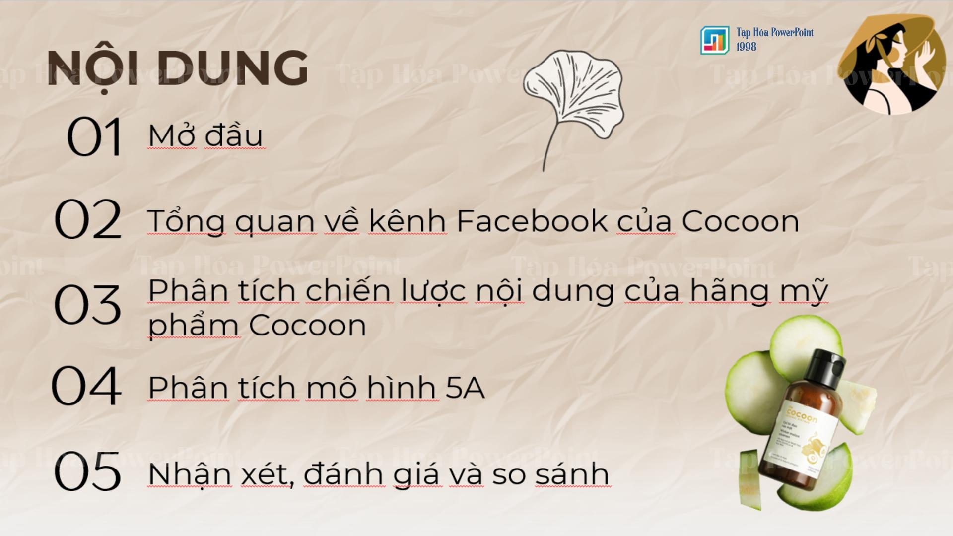Slide Thương hiệu mỹ phẩm COCOON - 2