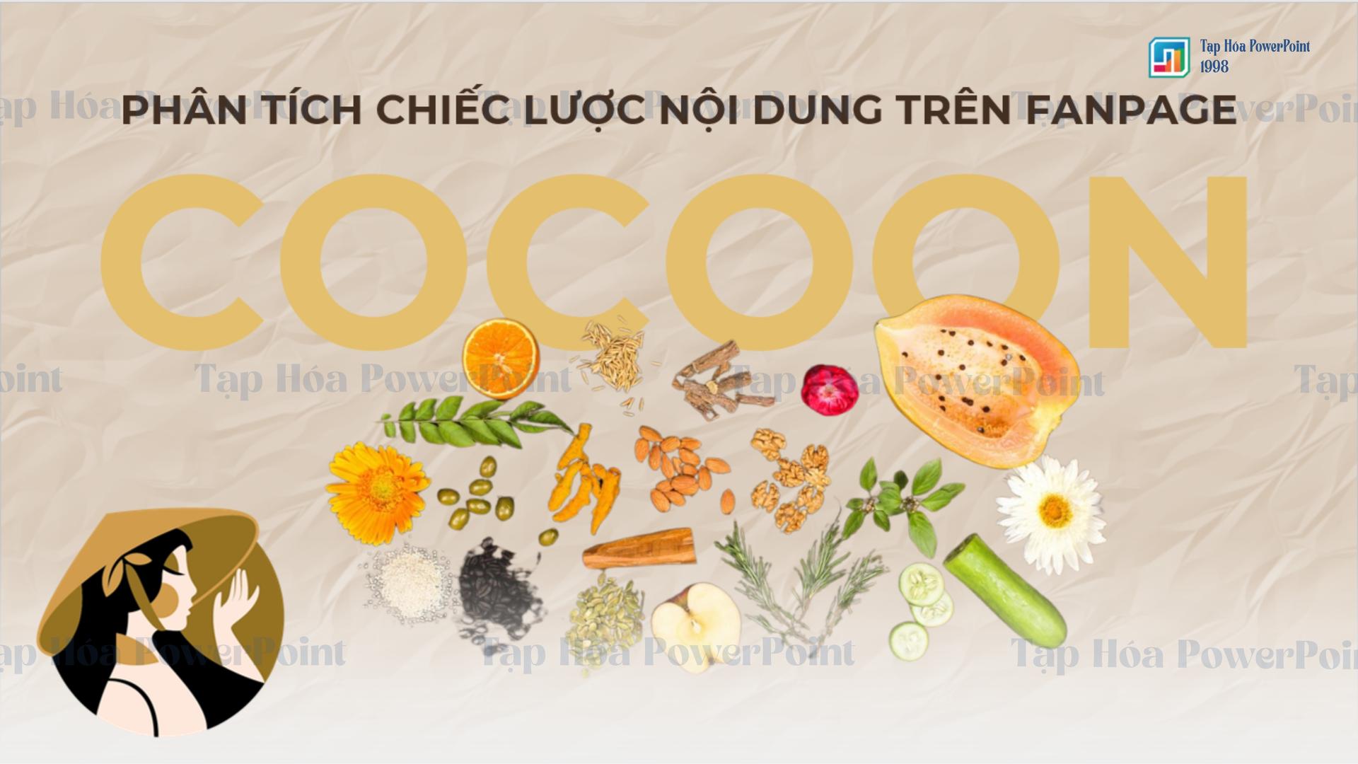 Slide Thương hiệu mỹ phẩm COCOON - 1