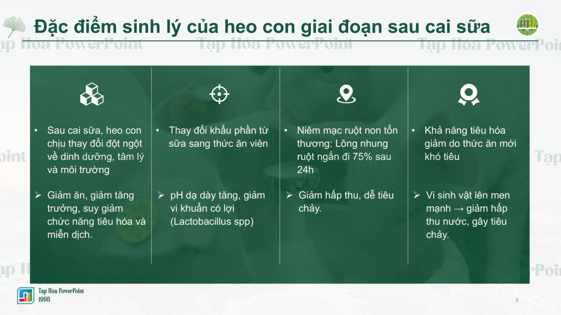 Template KLTN_NLU_Khoa chăn nuôi thú y - 6
