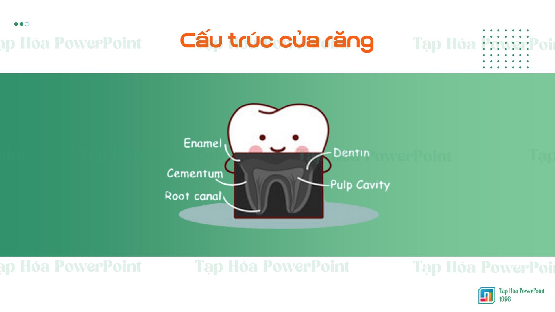 Bài giảng về nha khoa trẻ em - 3